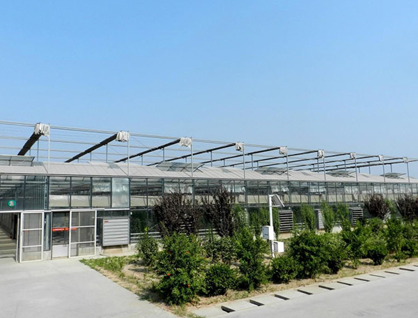 玻璃温室工程