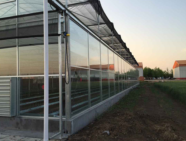 玻璃温室工程