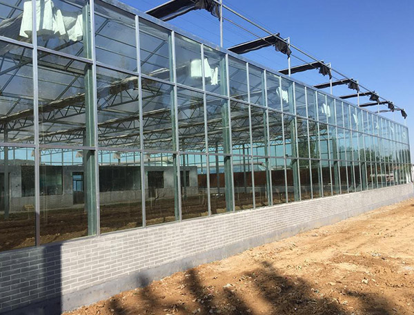 玻璃温室工程