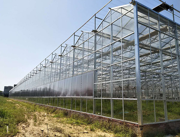玻璃温室工程