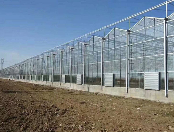 玻璃温室工程