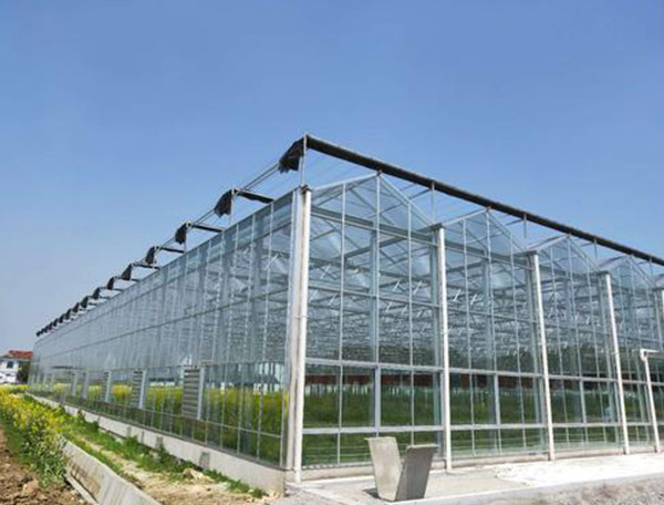 玻璃温室工程