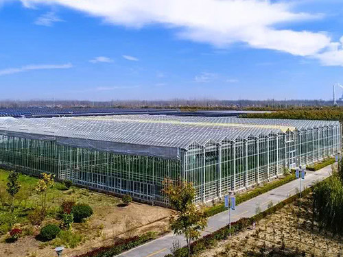 玻璃温室建设