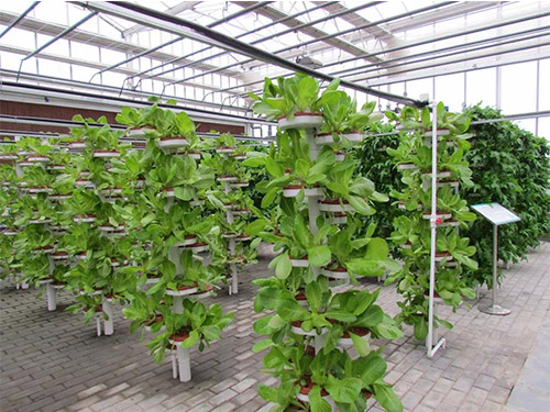 无土栽培温室