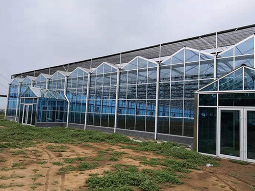 室内玻璃温室景观