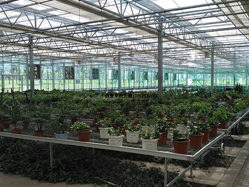 景观玻璃温室