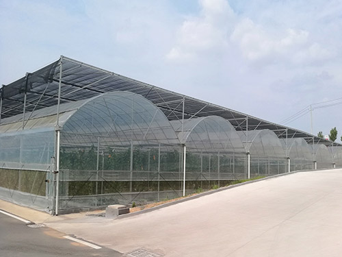 智能连栋温室