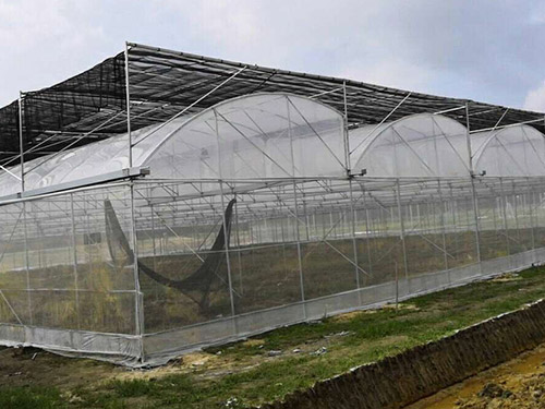 薄膜日光连栋温室