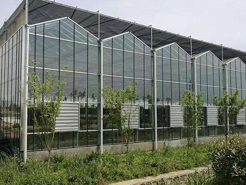阳光板温室