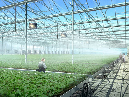 智能温室大棚