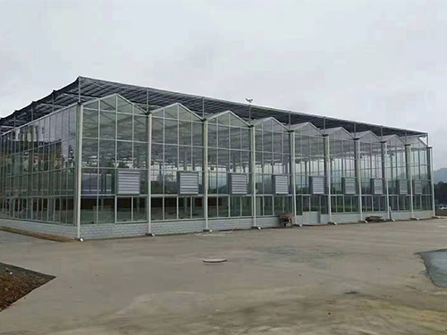 连栋薄膜温室