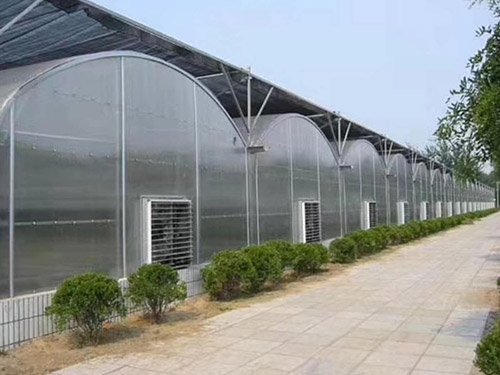 连栋温室大棚