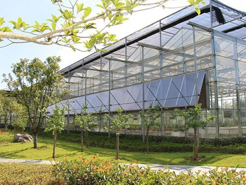 玻璃温室大棚
