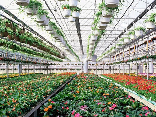 无土栽培智能大棚