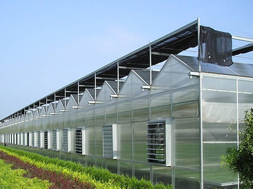 连栋温室