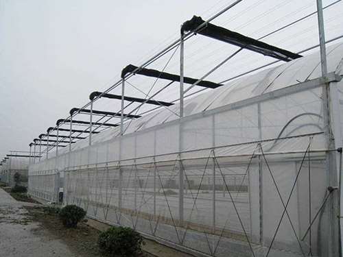 单拱连栋大棚